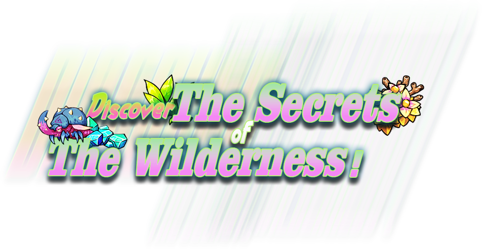 Discover The Secrets of The Wilderness!