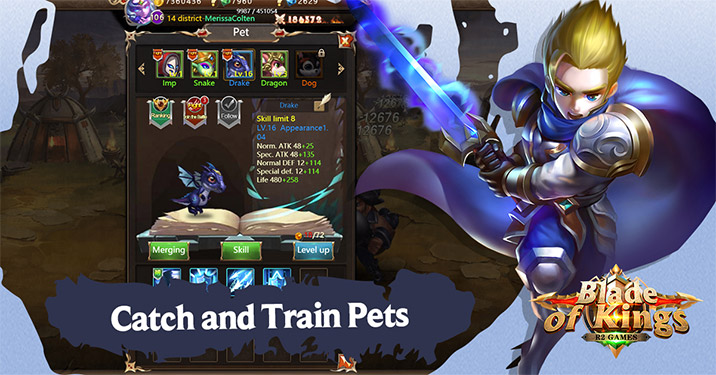 Catch and Train Pets
