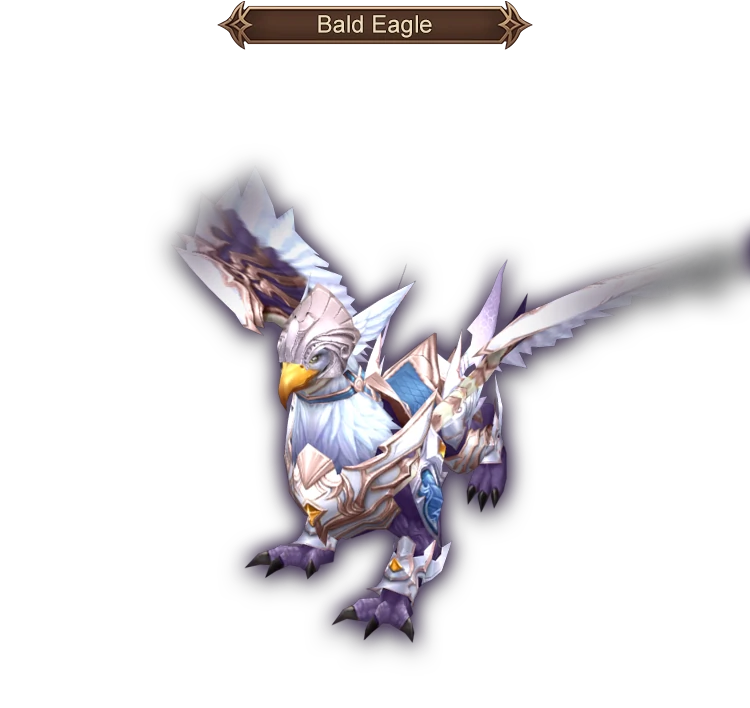 Bald Eagle